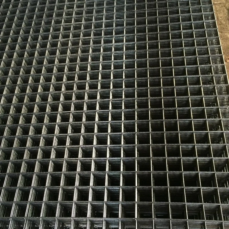product-800-800